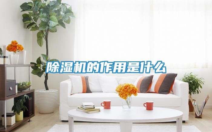 除湿机的作用是什么