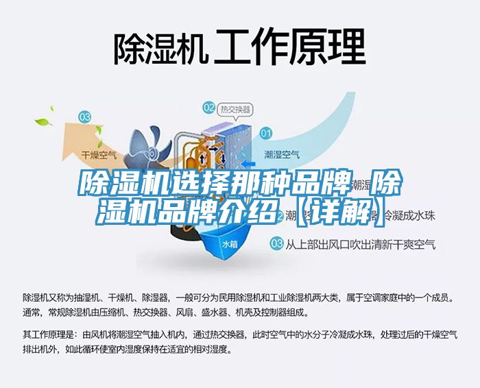 除湿机选择那种品牌 除湿机品牌介绍【详解】
