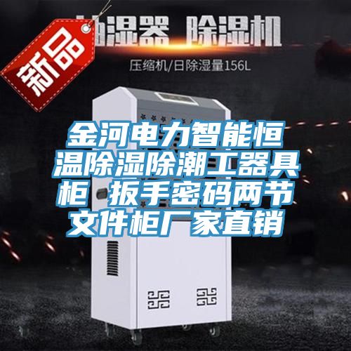 金河电力智能恒温除湿除潮工器具柜 扳手密码两节文件柜厂家直销