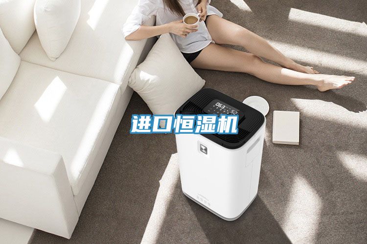 进口恒湿机