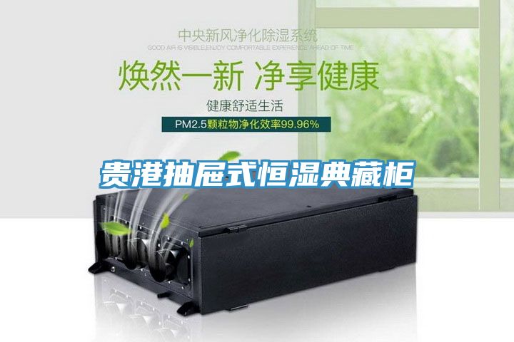 贵港抽屉式恒湿典藏柜
