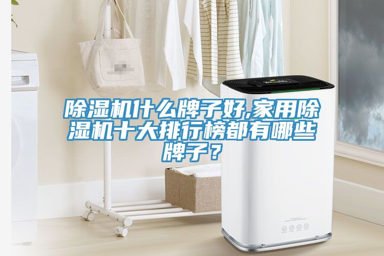 除湿机什么牌子好,家用除湿机十大排行榜都有哪些牌子？