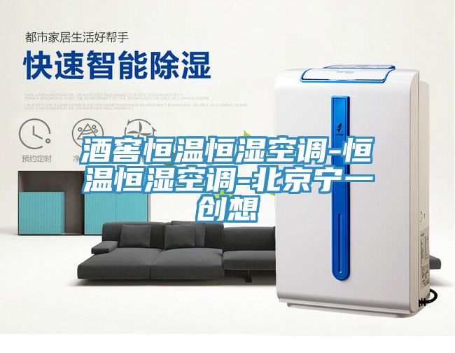 酒窖恒温恒湿空调-恒温恒湿空调-北京宁一创想