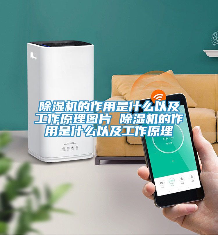 除湿机的作用是什么以及工作原理图片 除湿机的作用是什么以及工作原理