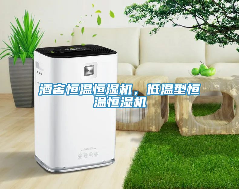 酒窖恒温恒湿机，低温型恒温恒湿机