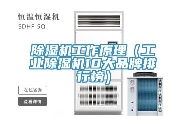 除湿机工作原理（工业除湿机10大品牌排行榜）