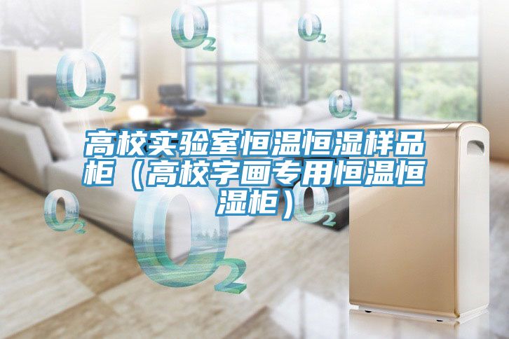 高校实验室恒温恒湿样品柜（高校字画专用恒温恒湿柜）