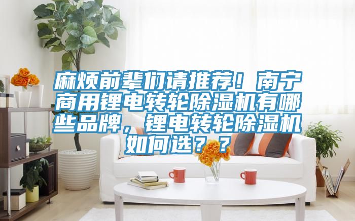 麻烦前辈们请推荐！南宁商用锂电转轮除湿机有哪些品牌，锂电转轮除湿机如何选？？