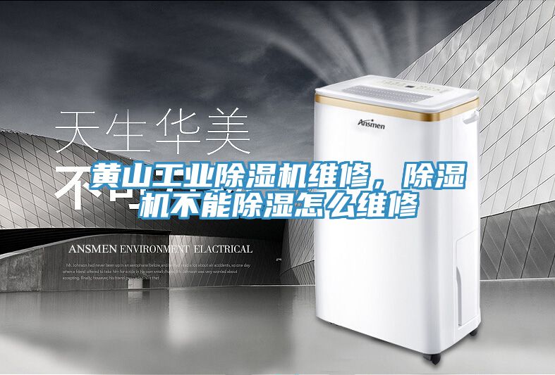 黄山工业除湿机维修，除湿机不能除湿怎么维修