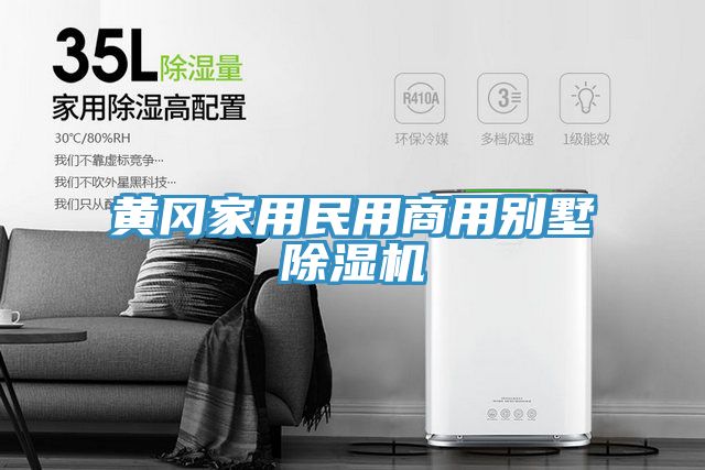 黄冈家用民用商用别墅除湿机