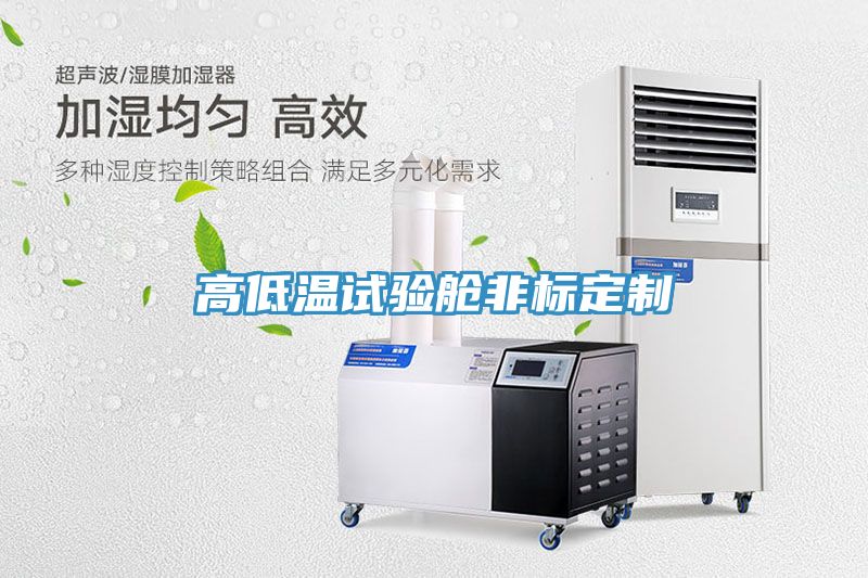 高低温试验舱非标定制