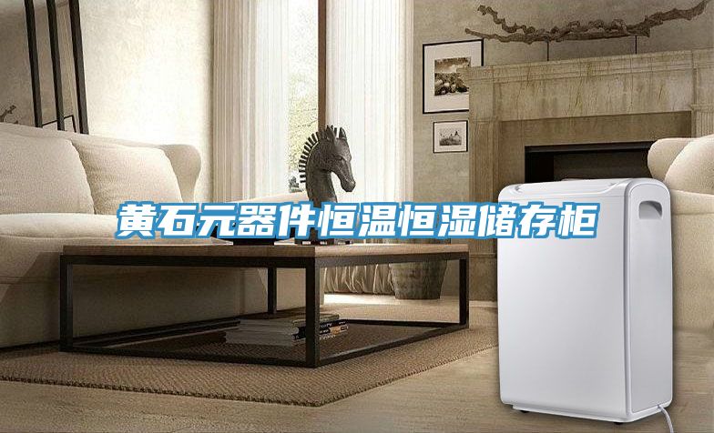 黄石元器件恒温恒湿储存柜