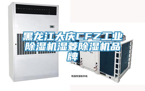 黑龙江大庆CFZ工业除湿机湿菱除湿机品牌