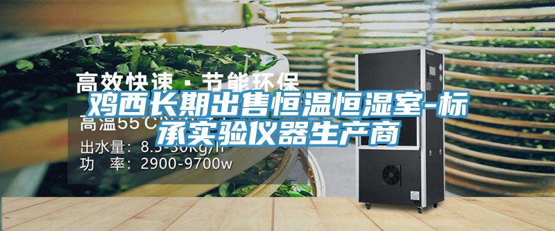 鸡西长期出售恒温恒湿室-标承实验仪器生产商