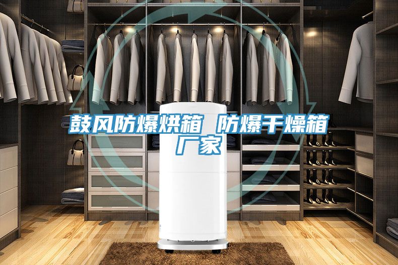 鼓风防爆烘箱 防爆干燥箱厂家