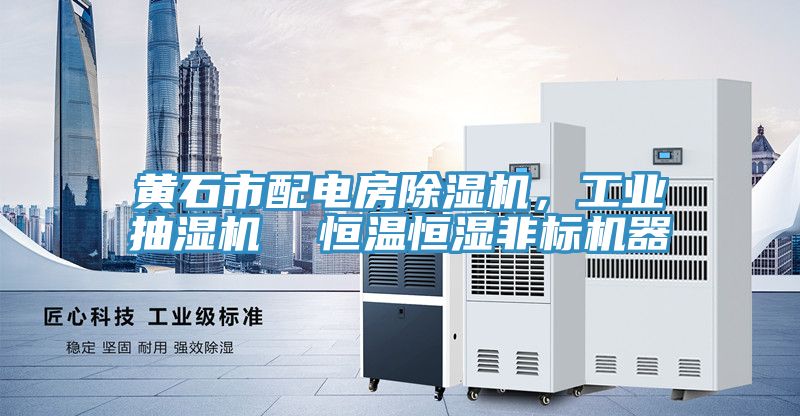 黄石市配电房除湿机，工业抽湿机  恒温恒湿非标机器