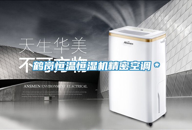 鹤岗恒温恒湿机精密空调＊