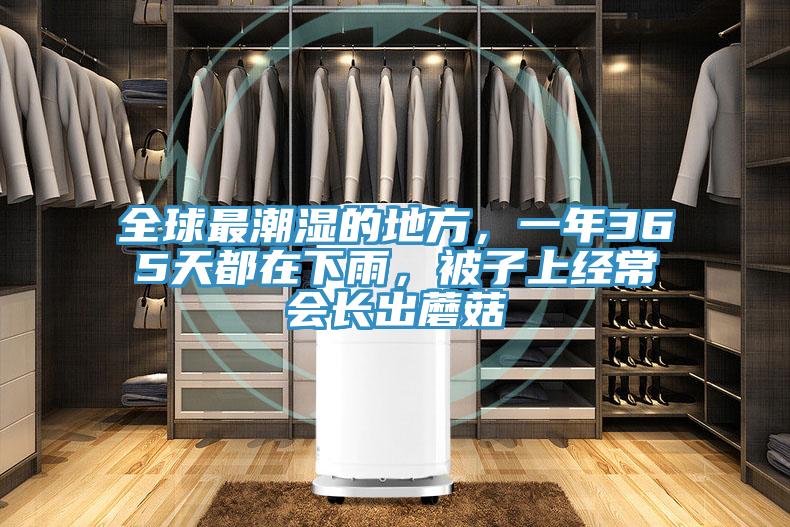 全球最潮湿的地方，一年365天都在下雨，被子上经常会长出蘑菇