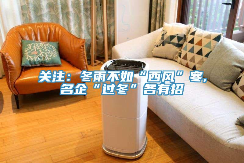 关注：冬雨不如“西风”寒,名企“过冬”各有招