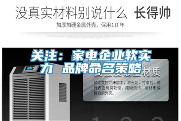 关注：家电企业软实力 品牌命名策略
