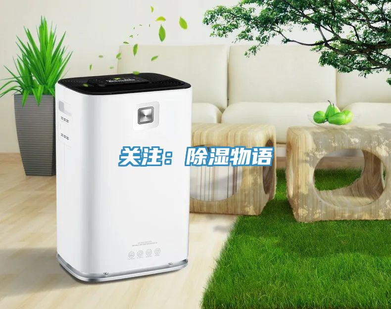 关注：除湿物语