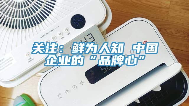 关注：鲜为人知 中国企业的“品牌心”
