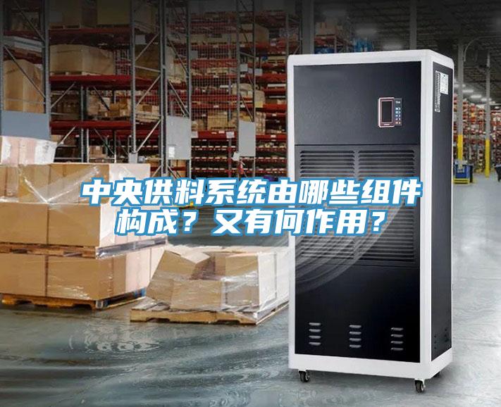 中央供料系统由哪些组件构成？又有何作用？