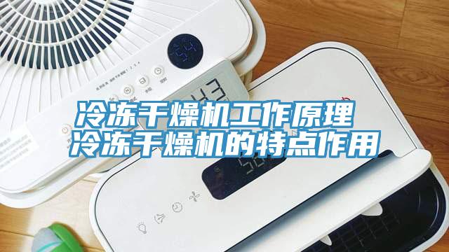 冷冻干燥机工作原理 冷冻干燥机的特点作用
