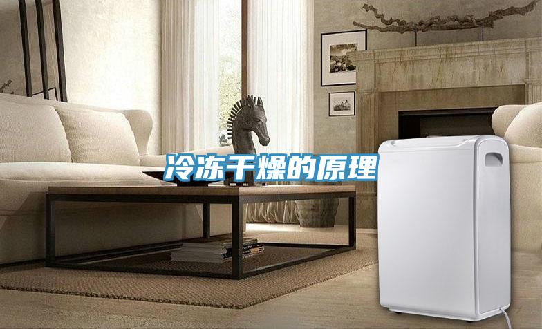冷冻干燥的原理