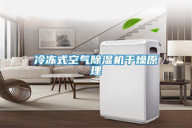 冷冻式空气除湿机干燥原理