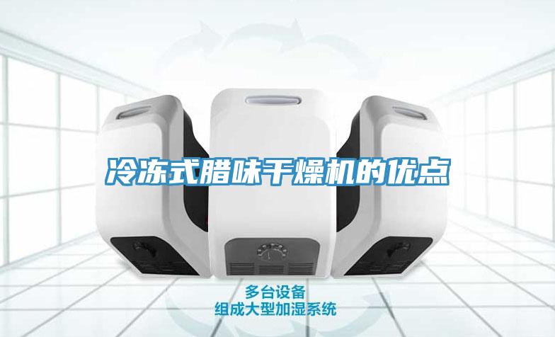冷冻式腊味干燥机的优点