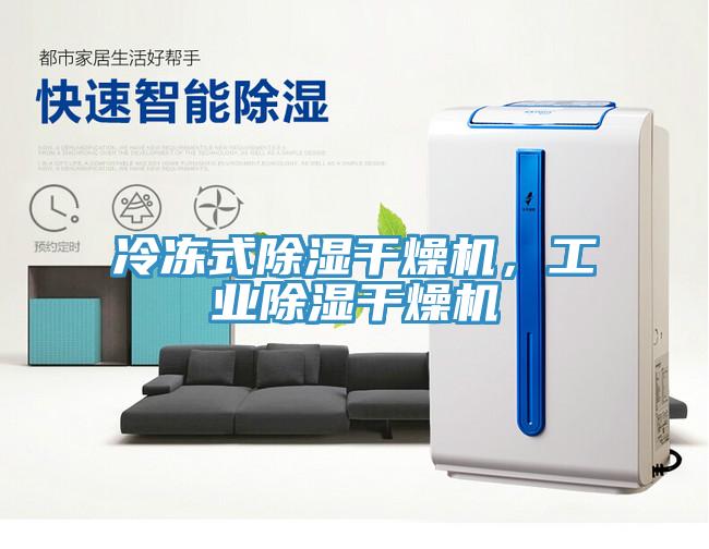 冷冻式除湿干燥机，工业除湿干燥机