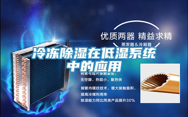冷冻除湿在低湿系统中的应用