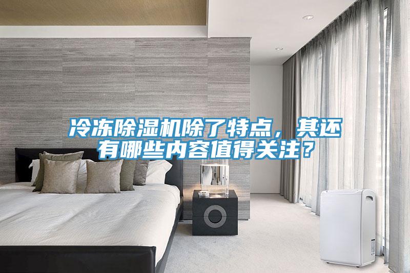 冷冻除湿机除了特点，其还有哪些内容值得关注？