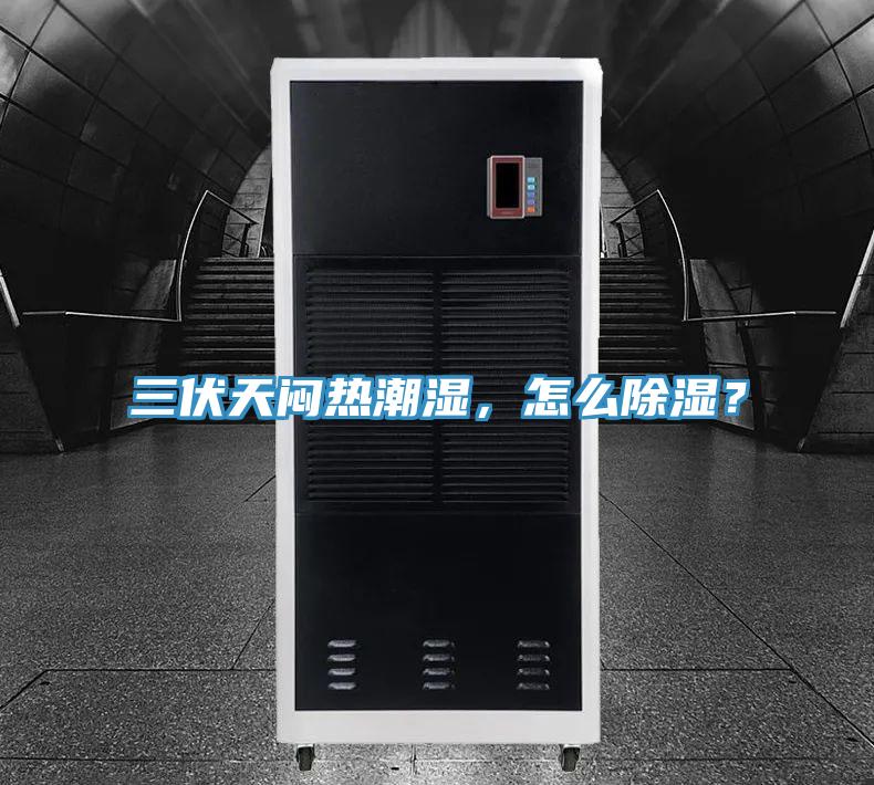 三伏天闷热潮湿，怎么除湿？