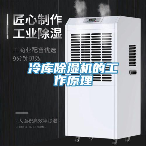 冷库除湿机的工作原理