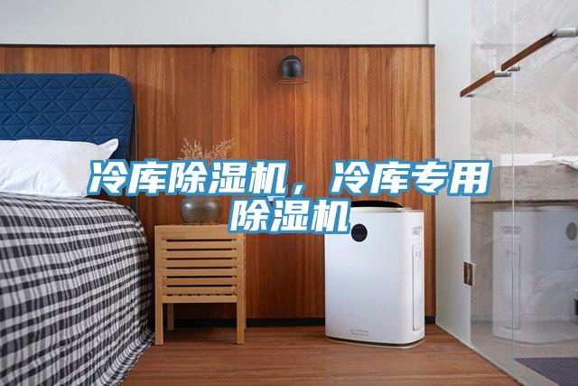 冷库除湿机，冷库专用除湿机
