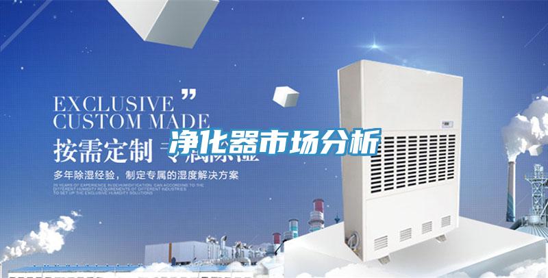 净化器市场分析