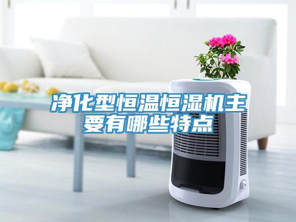 净化型恒温恒湿机主要有哪些特点