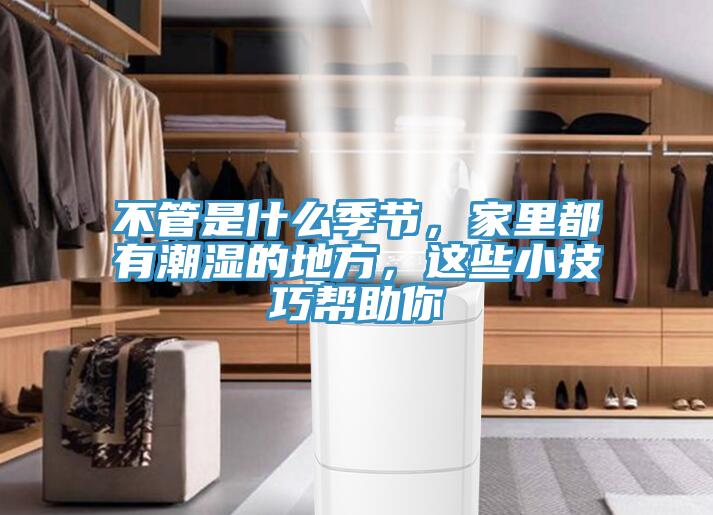 不管是什么季节，家里都有潮湿的地方，这些小技巧帮助你