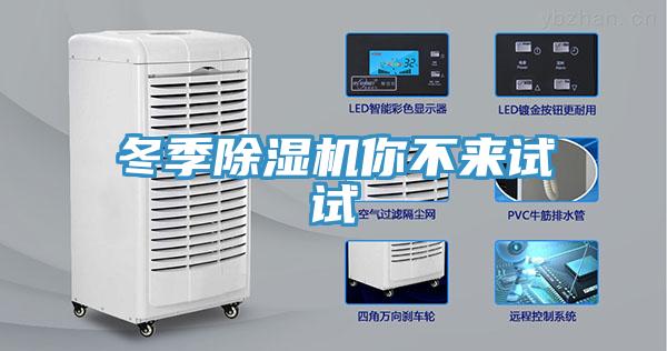 冬季除湿机你不来试试