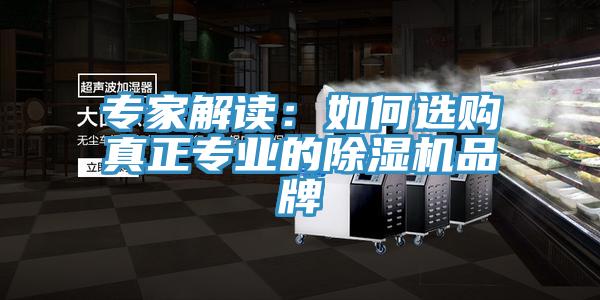 专家解读：如何选购真正专业的除湿机品牌