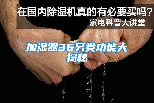 加湿器36另类功能大揭秘