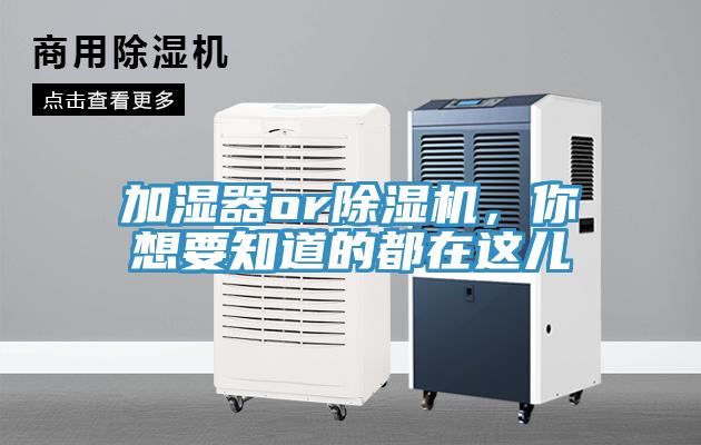 加湿器or除湿机，你想要知道的都在这儿