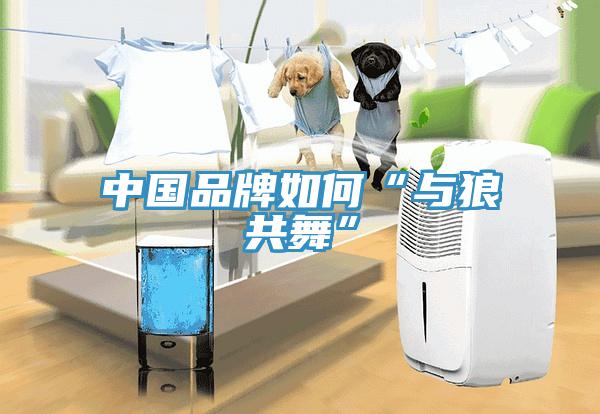 中国品牌如何“与狼共舞”