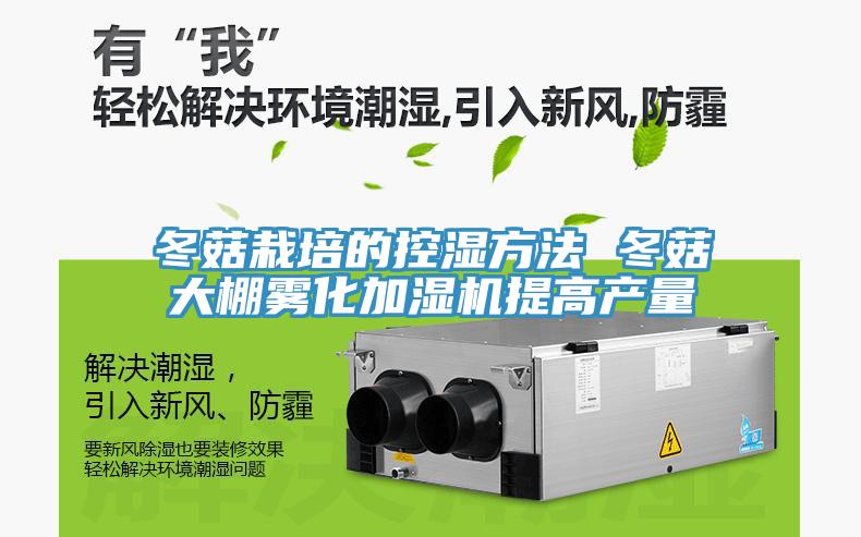 冬菇栽培的控湿方法 冬菇大棚雾化加湿机提高产量