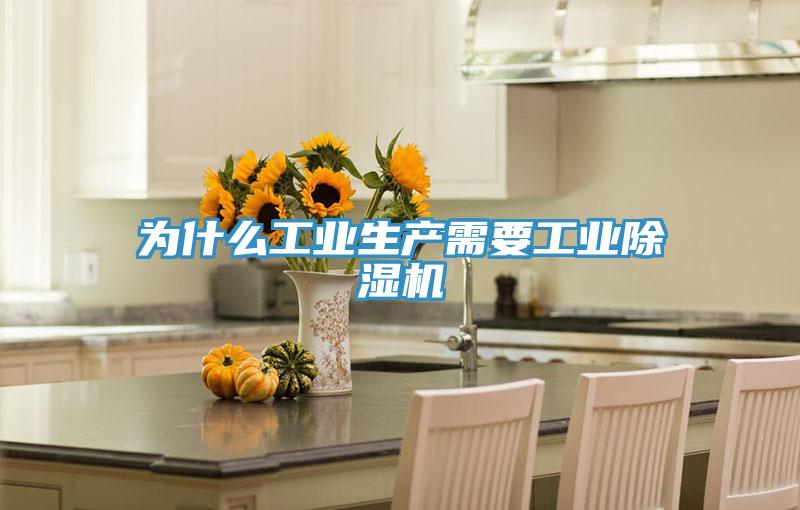 为什么工业生产需要工业除湿机