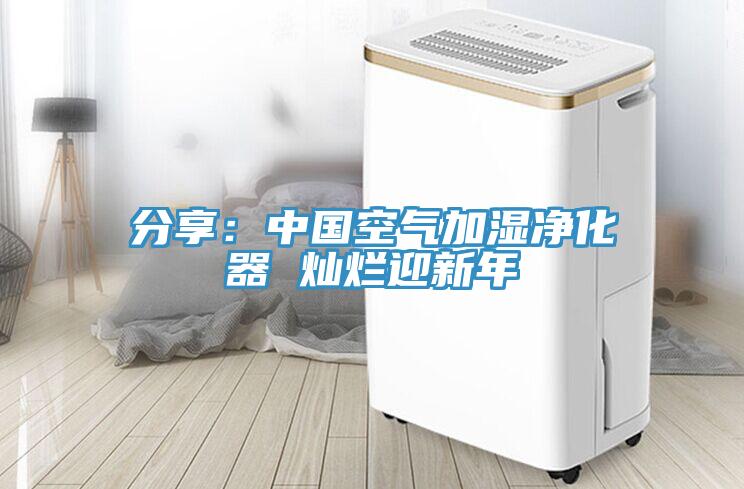 分享：中国空气加湿净化器 灿烂迎新年