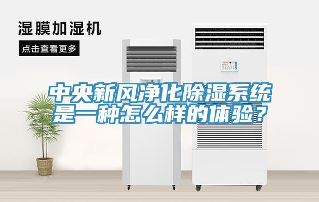 中央新风净化除湿系统是一种怎么样的体验？