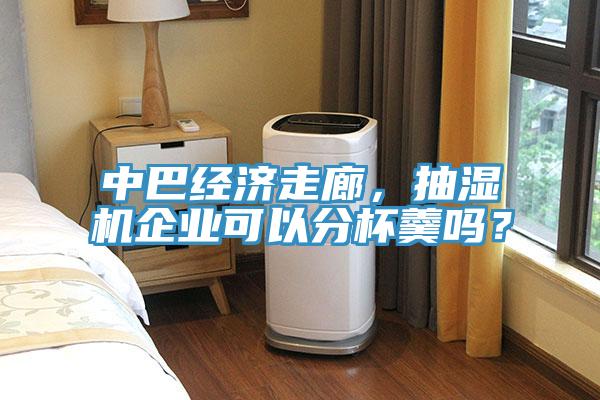 中巴经济走廊，抽湿机企业可以分杯羹吗？